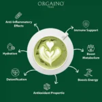 Benefits of Matcha Green Tea Powder